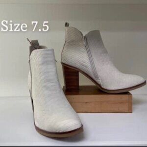 Super sleep-pretty- chic-  MIA IVY PYTHON- ERIK BOOTIES 7.5 BRAND NEW